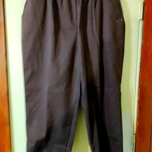 Chic Brown Pants 22W Petite